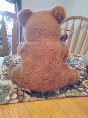 back view of 1979 teddy bear