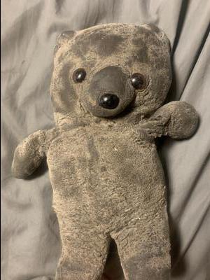 Best friend teddy bear