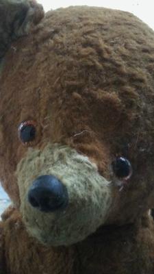 old teddy bear face