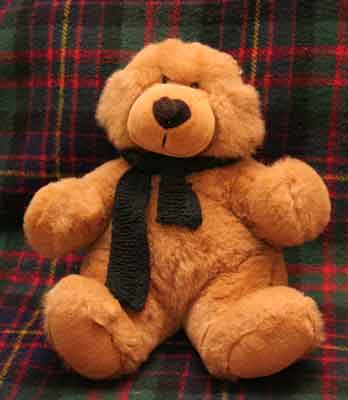 Scruffy Bear