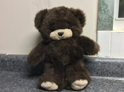 Brown and cream teddy bear