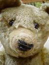 face of old teddy bear