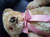 teddy bear with pink ribbon