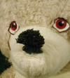 face of 1960's teddy bear