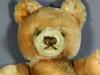 face of teddy bear