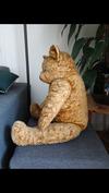 Bear sitting from the side