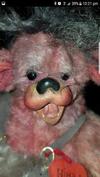 Bear with an unusual face
