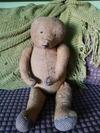 very old teddy bear