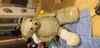 In need of repair teddy bear