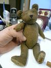 cute old teddy bear