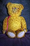 Goldie My Teddy Bear