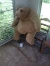 Teddy bear sitting in the corner