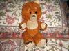 Unusual Teddy Bear