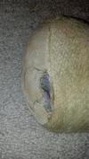 Stuffing inside of foot