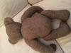 light brown teddy back view