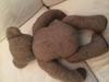 light brown teddy back view