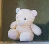 Pink and Blue Teddy Bear
