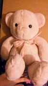 pink teddy bear