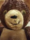 face of teddy bear