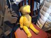 yellow teddy bear