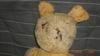 Faceof my Poor Little Teddy Bear