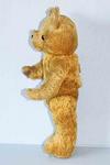 1954 Australian teddy bear