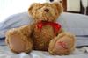 No 2 Hamleys teddy