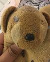 big teddy bear face