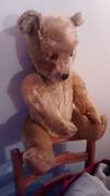 sitting teddy bear