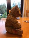 mums old teddy bear side view
