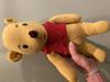Pooh Bear