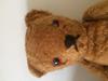 Sad teddy bear face