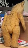 back view of teddy bear