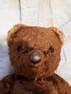 Dark brown teddy Bear