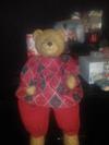 Teddy Bear found in an OP Shop 