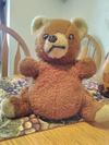 1979 teddy bear