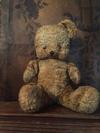 Very old teddy bear