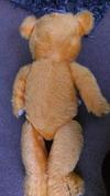 back of sitting teddy bear