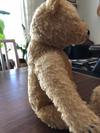 bear from 50s or 60s side view