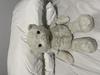 White Teddy Bear