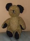 Is this a Chiltern Sooty bear? 