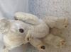 White teddy bear
