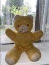 Yellow bear