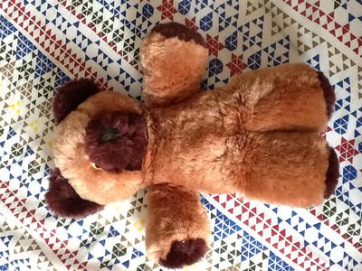 two tone teddy bear