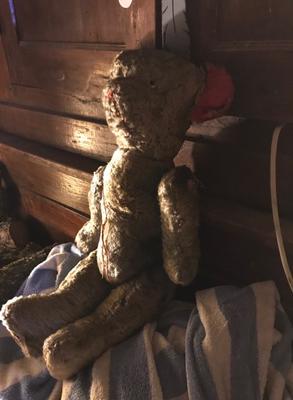 Very old teddy bear