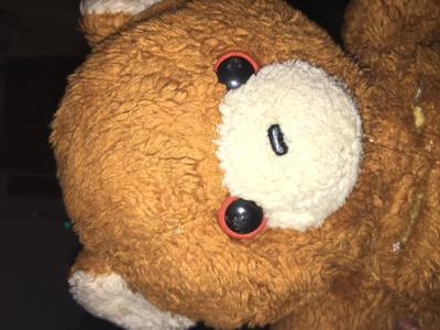 Vintage brown teddy bear  face