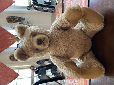 vintage Steiff teddy bear