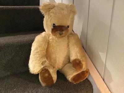 Two colour teddy bear