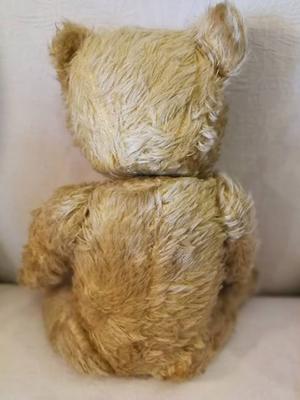 back view of teddy bear