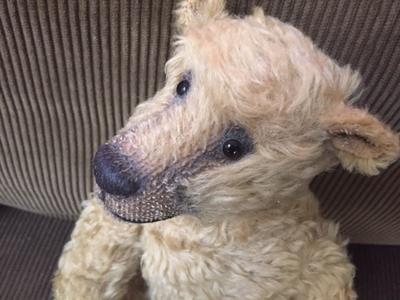 teddy bear with long snout